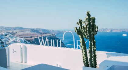Stunning rooftop view in Santorini featuring a cactus and the serene blue sea. Perfect travel destination.