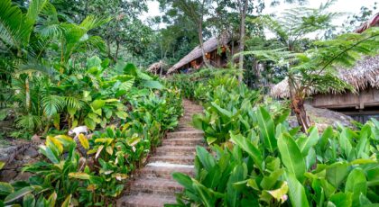 A serene tropical retreat with a stone staircase leading to a rustic bungalow surrounded by lush foliage.