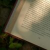 An open book lies on a leafy ground with sunlight illuminating the printed text.