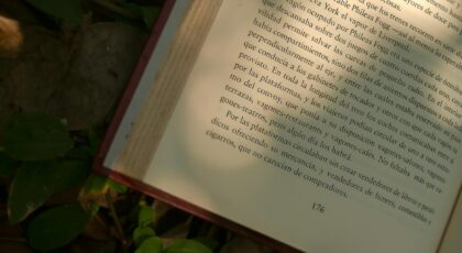 An open book lies on a leafy ground with sunlight illuminating the printed text.